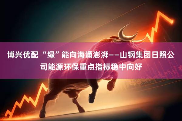 博兴优配 “绿”能向海涌澎湃——山钢集团日照公司能源环保重点指标稳中向好