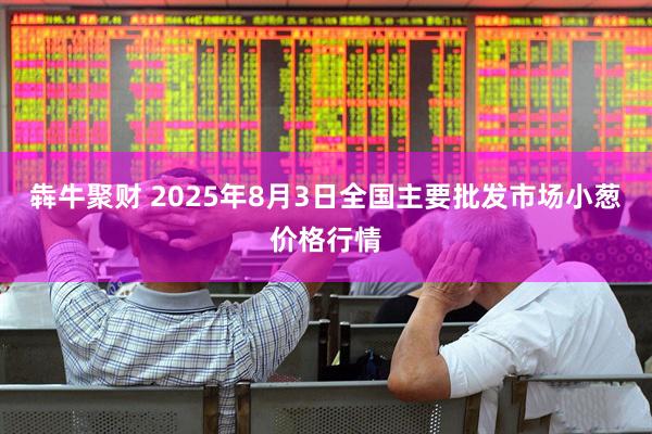 犇牛聚财 2025年8月3日全国主要批发市场小葱价格行情