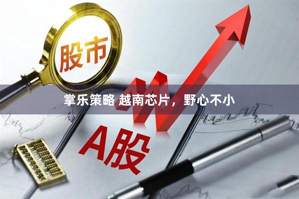 掌乐策略 越南芯片，野心不小