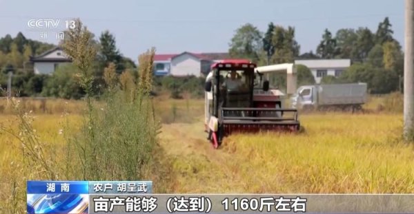 股赢家 一大批农产品正走向你的餐桌！全国秋粮收获近四成